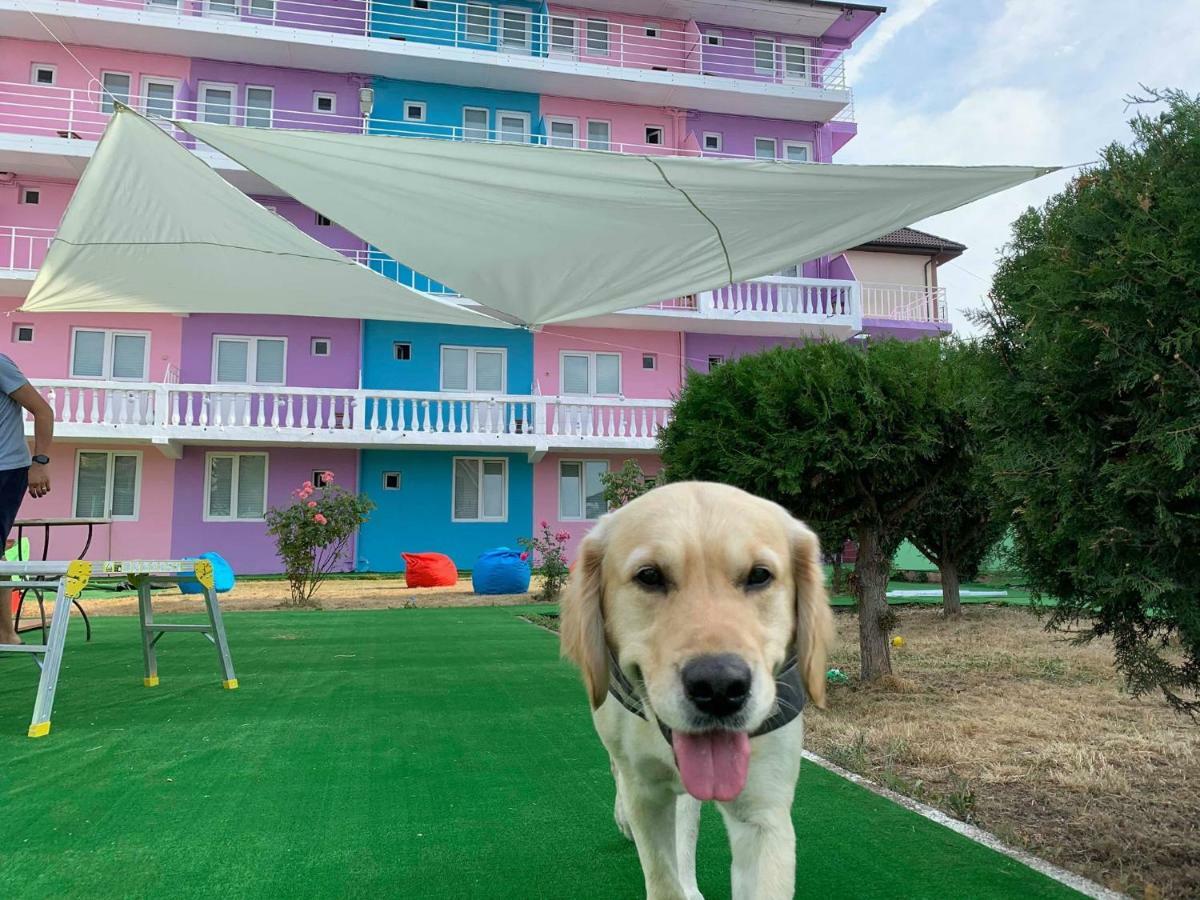Casa Barbie Costinesti Ostello Esterno foto
